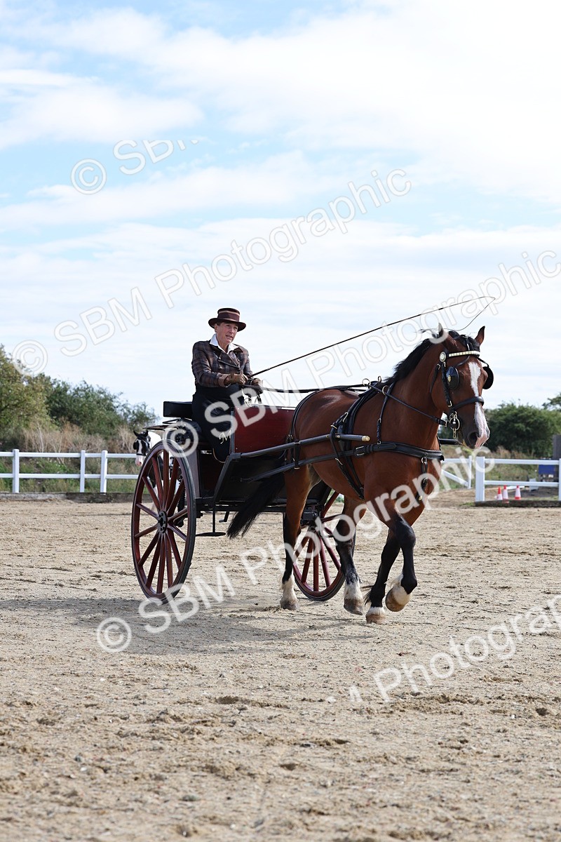 SBM_000911 - Class 8 - Novice Horse or Pony to any vehicle