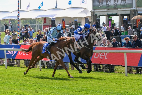 140525-Race 1-Almoshher-1589 - Race 1 2.10pm Sky Bet Race To The Ebor Jorvik Handicap