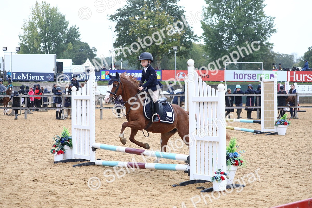 SBM_71556 - J4 - Mini Tour Junior Pony 45cm Championship