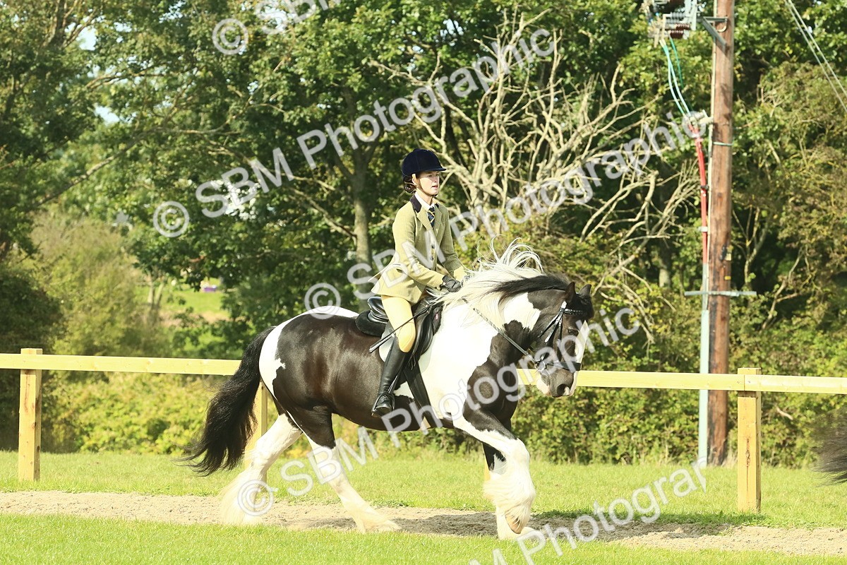 SBM_67453 - S56 - Coloured Pony Ridden