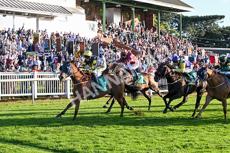 160824-Race 5-Ready Freddie Go-9586 - Race 5