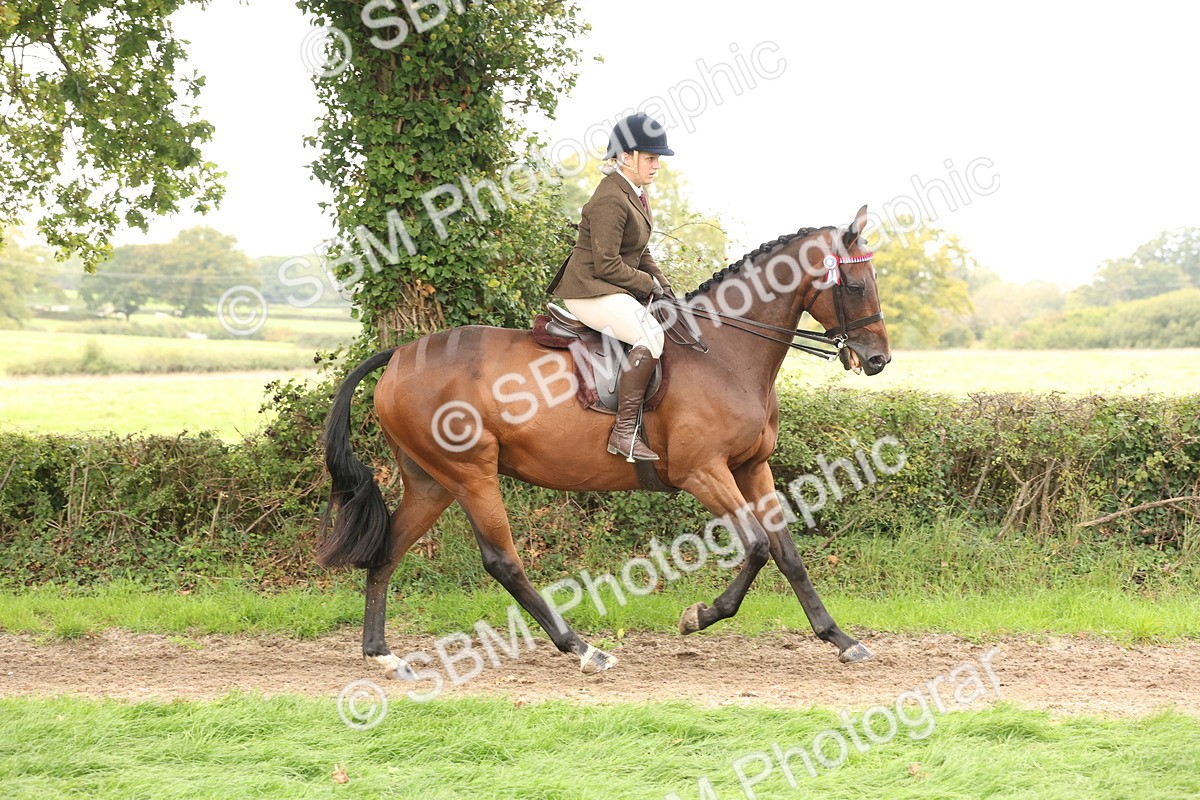SBM_64215 - S65 - Riding Horse & Hack & Thoroughbred Ridden