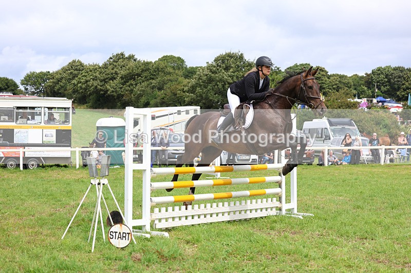 3E7A6938 - Class 5: Senior British Novice/90cm open