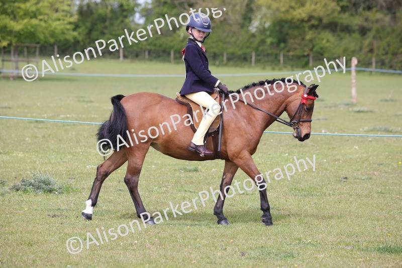 20260426-2892 - Class 33 - Best Pony 14.2hh and Under