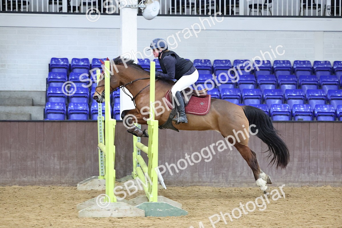 SBM_001700 - Class 2 - STX UK Pony British Novice - 80cm