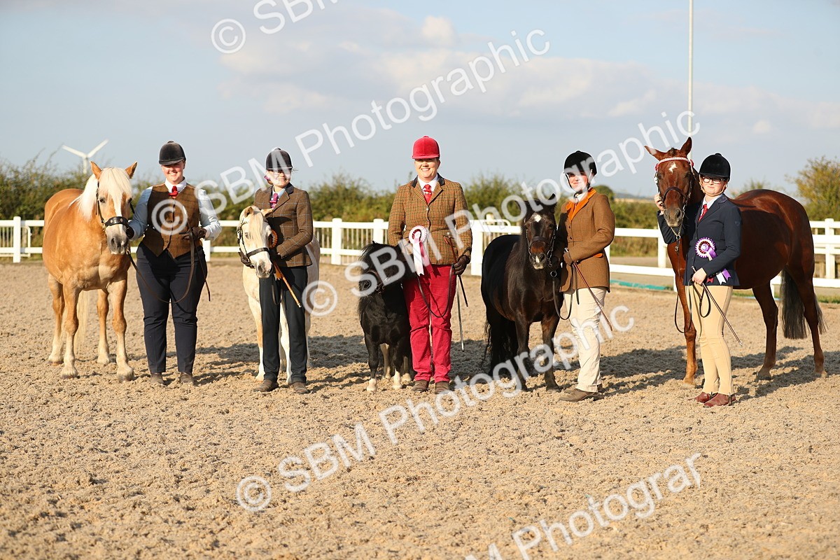 SBM_09159_Class 29 - IH Veteran Pony
