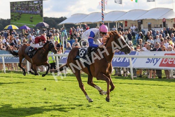 240823-Race 7-Nigiri-5498 - Race 7 5.20pm British EBF 40th Anniversary Fillies' Handicap