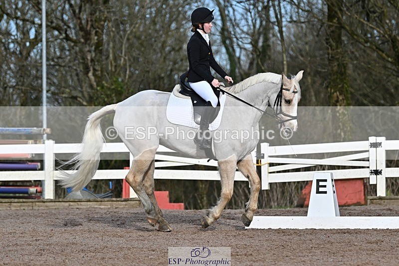 250125-111536-00301 - Dressage - CT Class 5 BE95 (90cm)