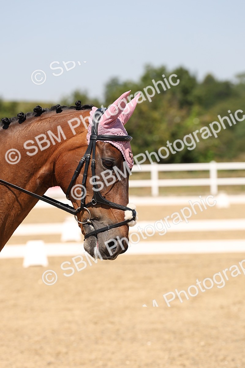 SBM_005091 - Prelim 4 - 13.34-15.39