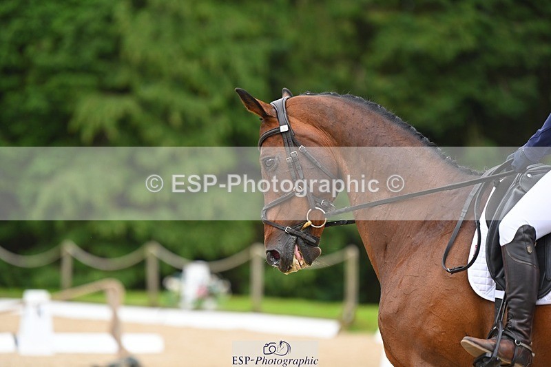 230813-141719-07717 - Cls 13 Medium Bronze 13.15 to End