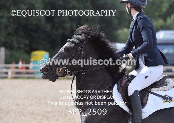 BPP_2509 - DERBY CLASS 7 - 80CM