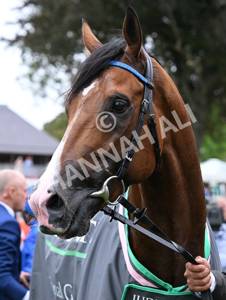 200825-185 Ombudsman - Race 4 3.35pm Juddmonte International Stakes