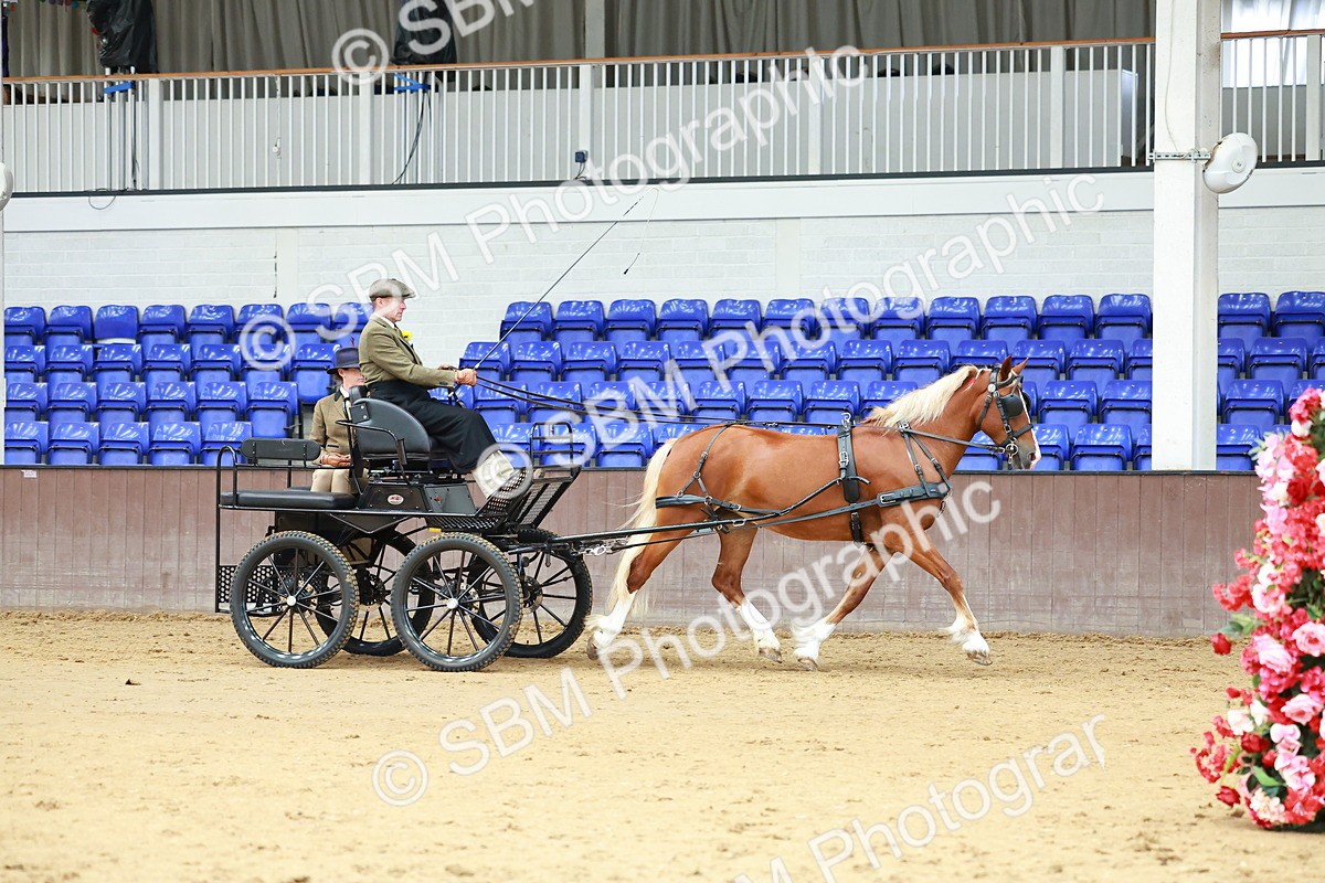 SBM_000664 - Class 11 - Peter Howell Memorial Gentlemen Whip