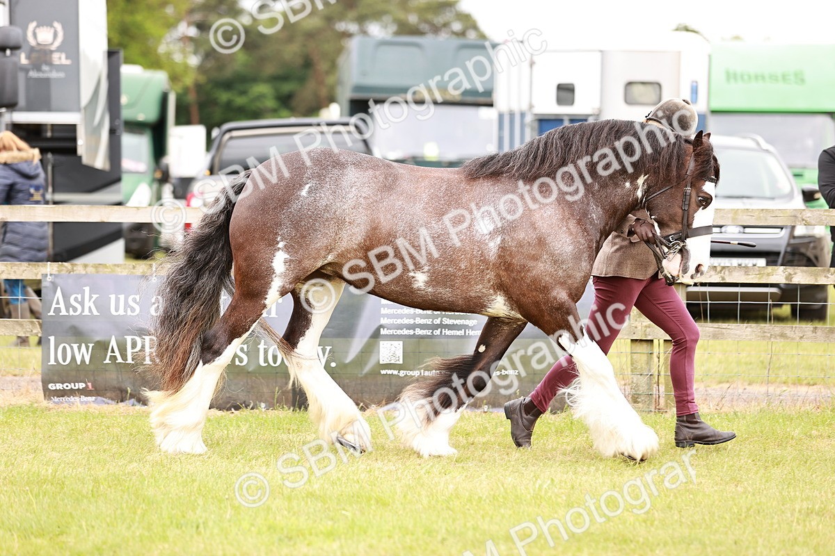 SBM_04664 - Class 5-8 - BSPA In hand