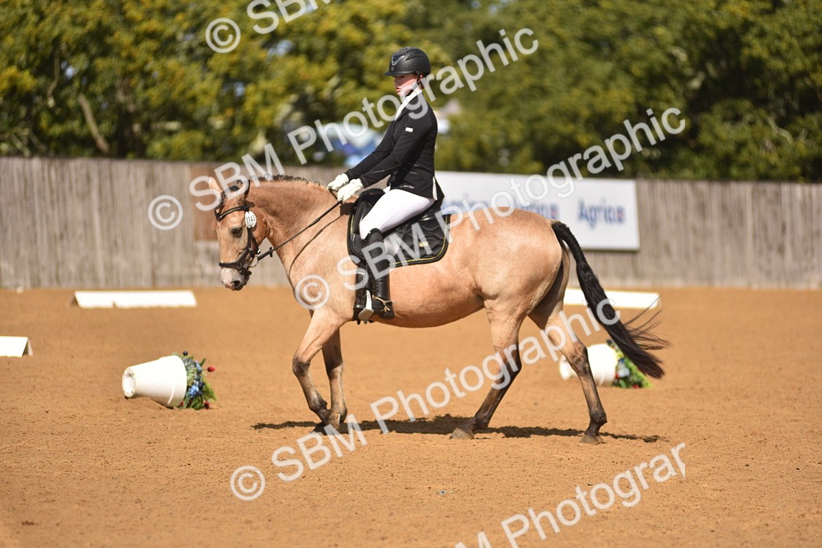 SBM_19940 - D4 - Small Tour Championship Intro 4