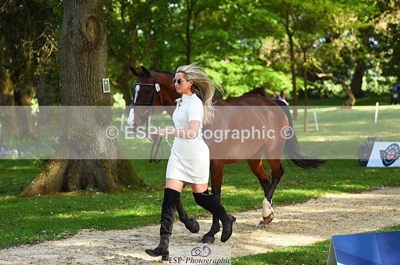 230524-171410-01373 - 165-LEV_IDWJ-Danielle_Frost-WEDTrotUp+DR