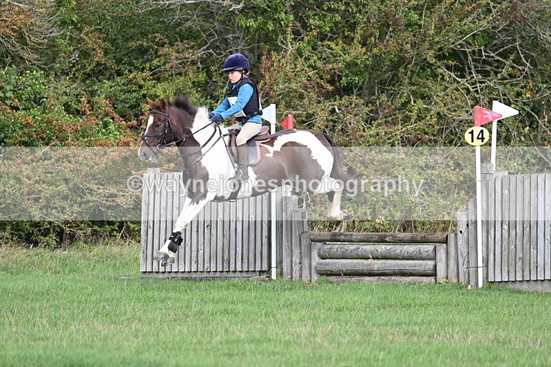 WJ7_8393 - 60cm Pairs