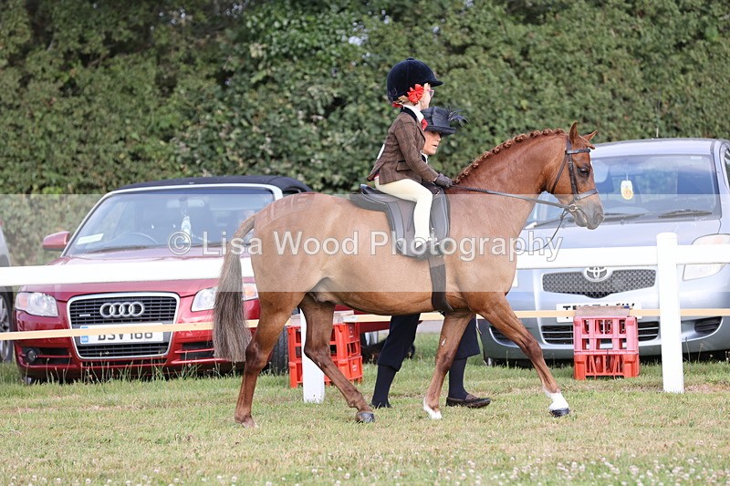 JPP_0280 - Class 14: Cornish Combination Leading Rein