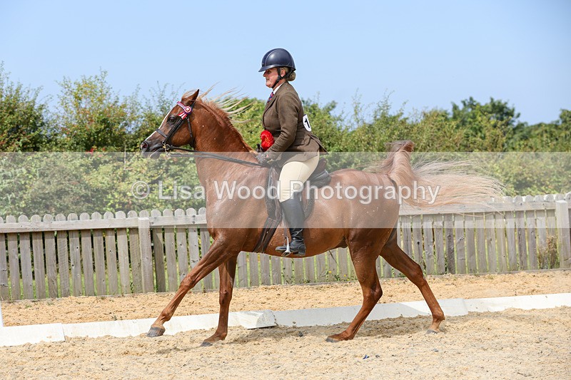 1X9A8496 - Ridden Championship