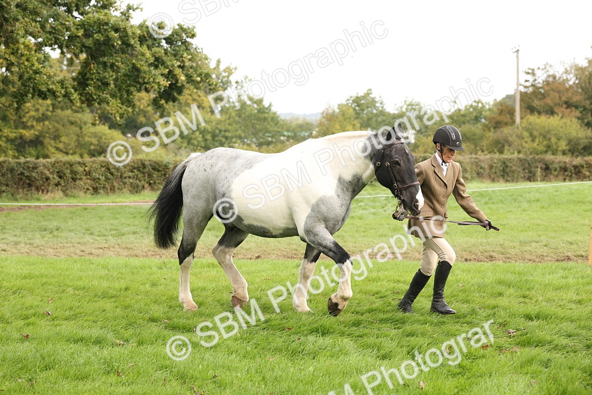 SBM_57502 - S56 - Show Cob in Hand