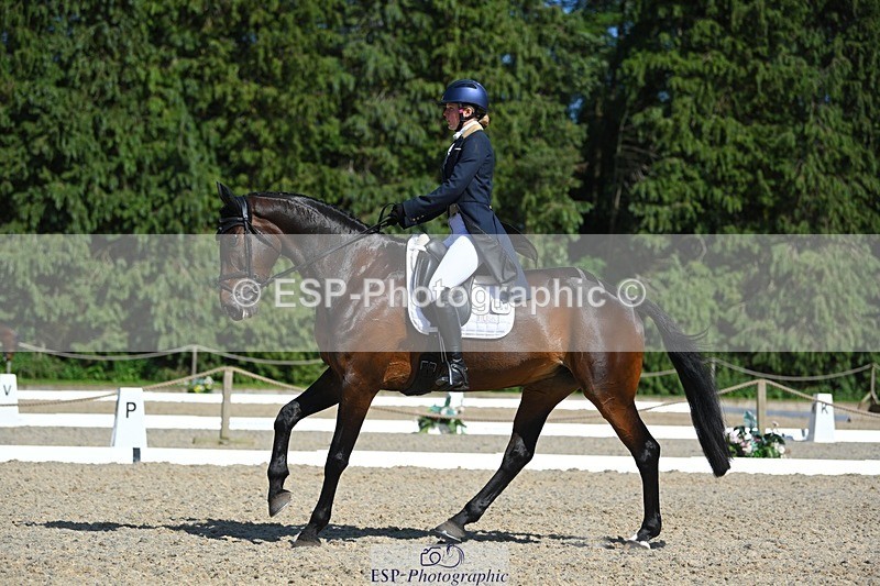 230526-160853-07277 - 254-PURE_TRENDSETTER-Ellie_Fredericks-WEDTrotUp+DR