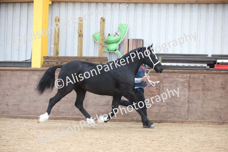 20251109-0991 - Class 26 - 2 and 4 Year Olds