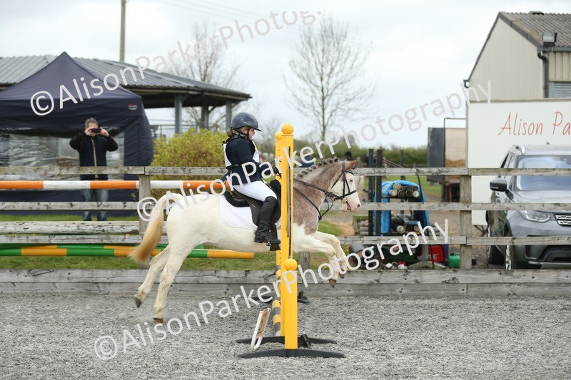 20260412-0676 - Show Jumping