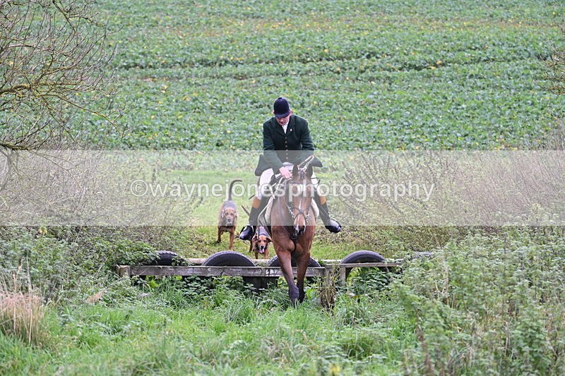 WJ7_8918 - Camera 1 only on this line