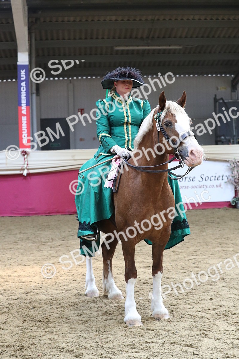 SBM_12202 - Class 107 Ridden Costume- Astride Adult (20+)