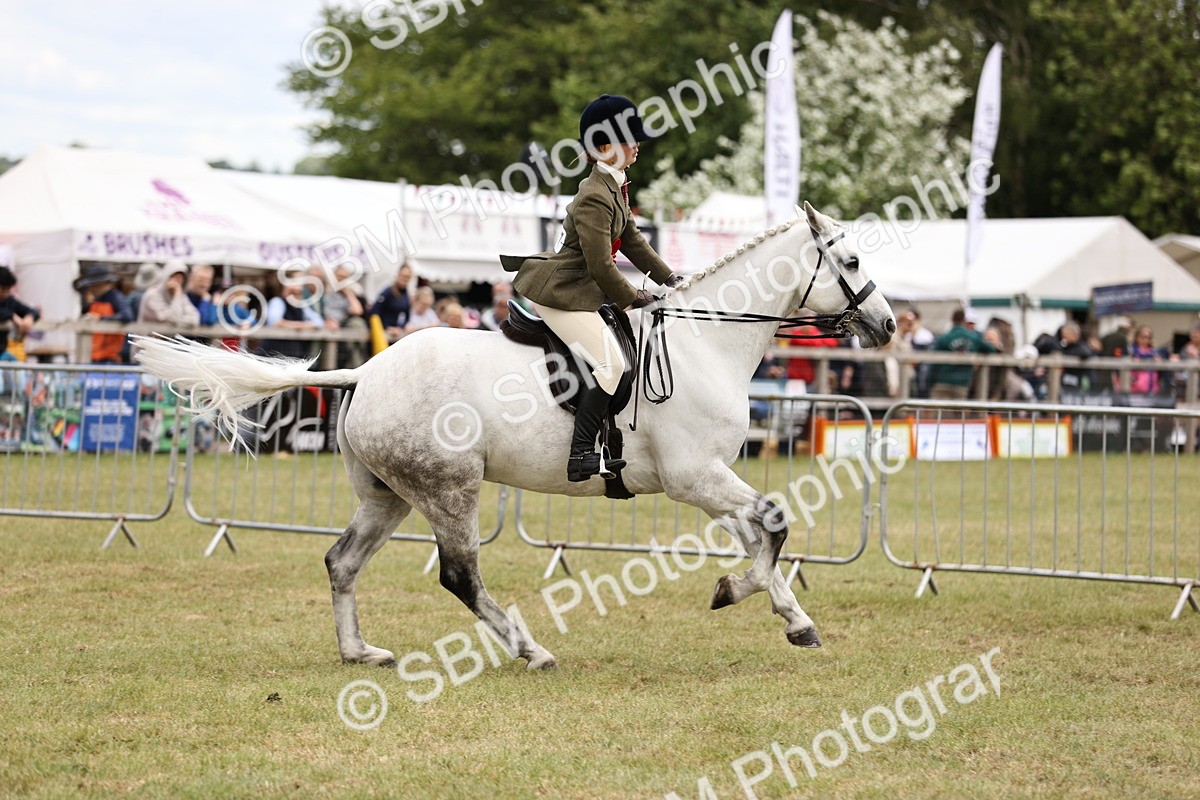 SBM_14817 - Class 88-89 - LIHS BSHA Rising Star of Ridden Hunter Type