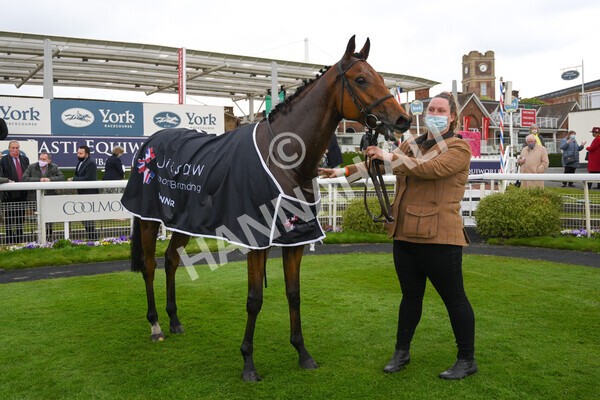 yr14052021r5-55 - Race 5 3.40pm The Jigsaw Sports Branding Handicap