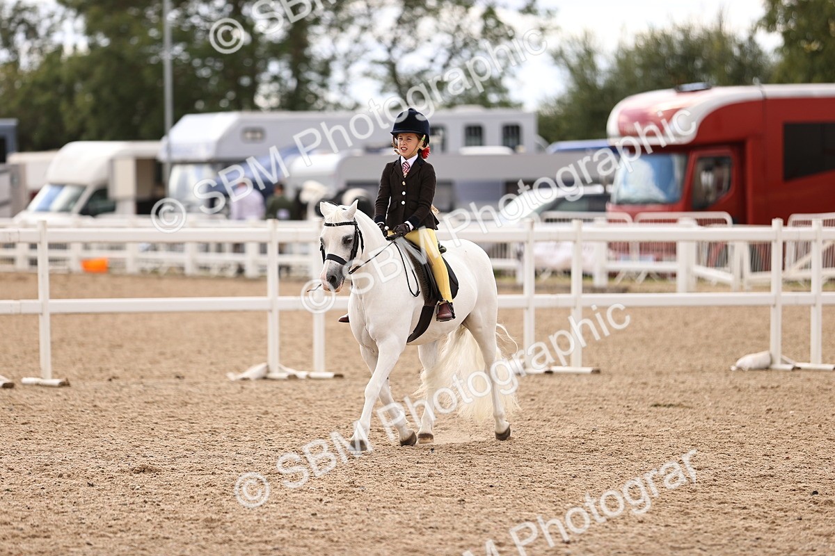 SBM_15952 - Class 416 - Prettiest Mare (IH or Ridden) Jnr