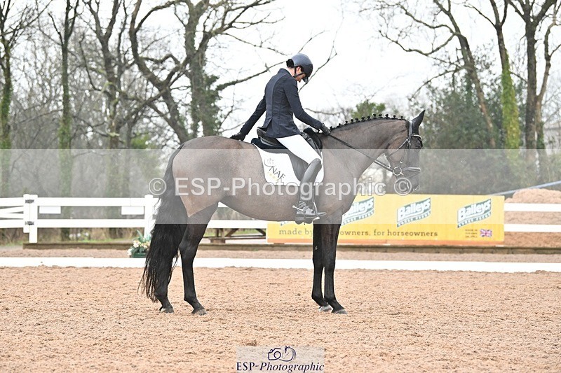 250215-120145-03316 - 165-Elder.Klatzko-Dynasty.Hit