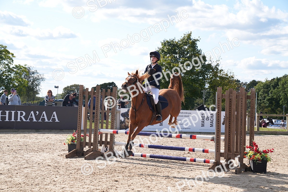 SBM_26012 - J61 - Clear Round 75cm & 85cm