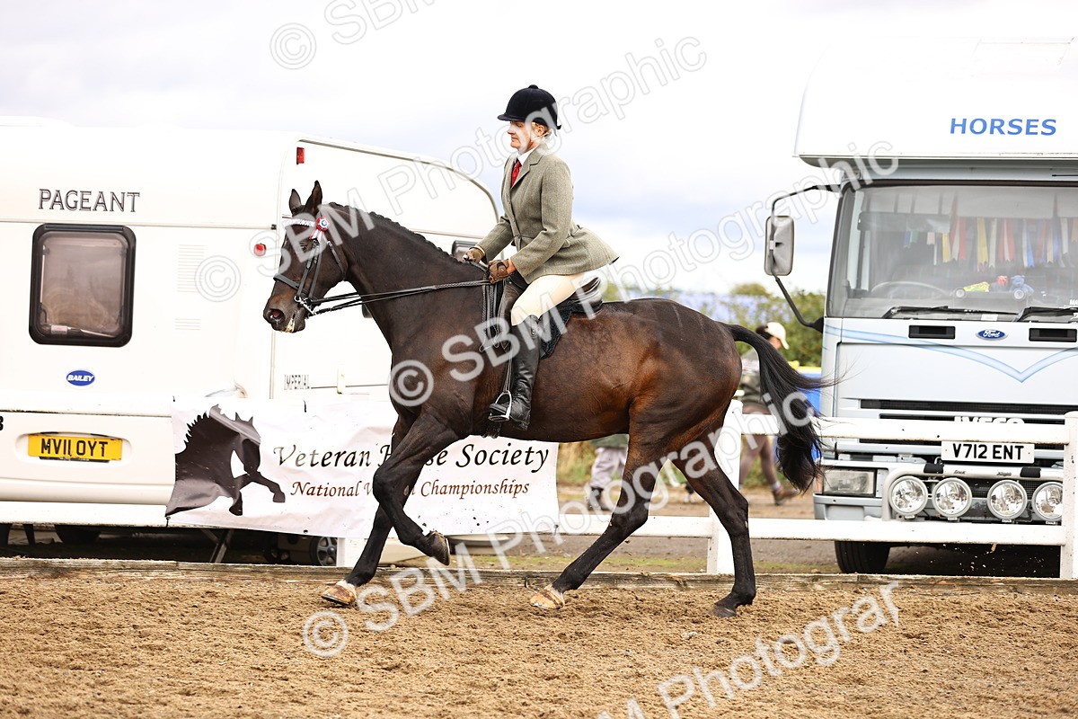 SBM_00604 - Class 53 - Ridden Competition Horse Pony