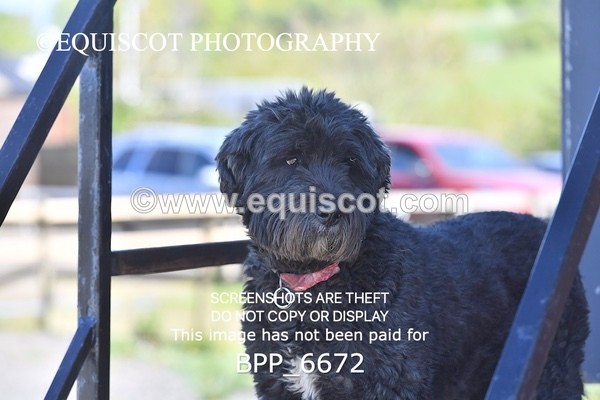 BPP_6672 - CLASS 37 MON 0.85m Amateur Championship Qualifier