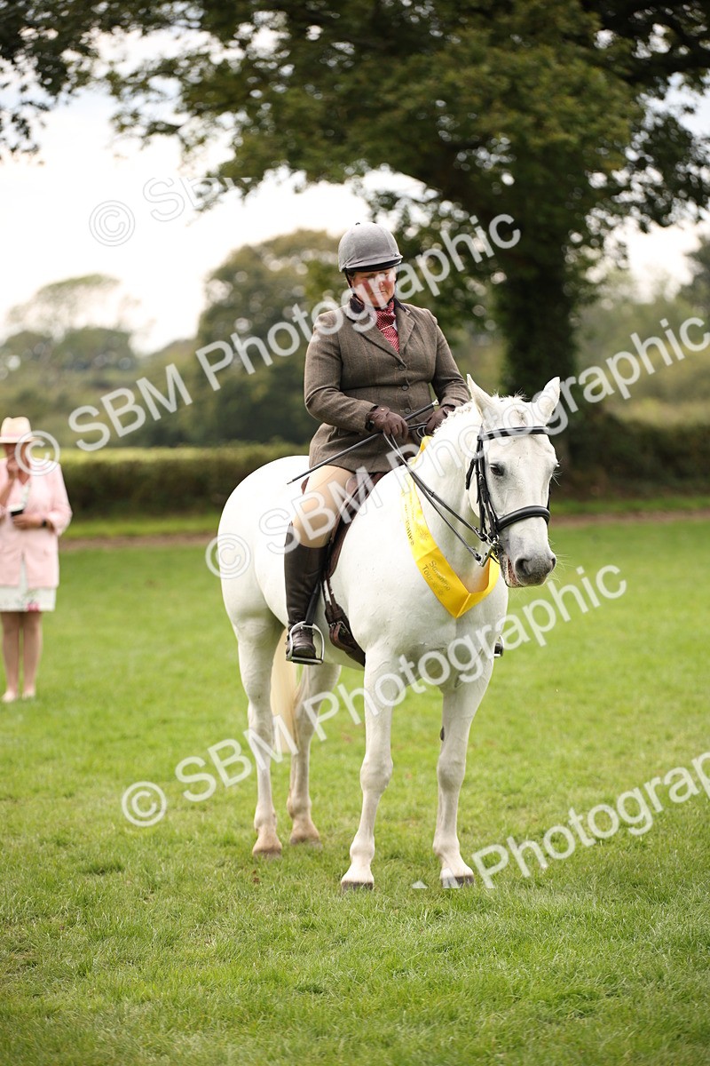 SBM_73650 - Ridden Horse Supreme Championship