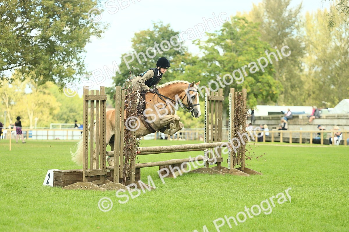 SBM_44712 - S31 - Working Hunter Pony