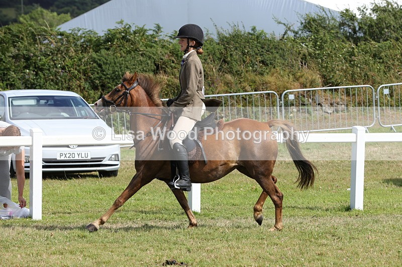 1X9A5731 - Class 40: NPS Welsh A & B