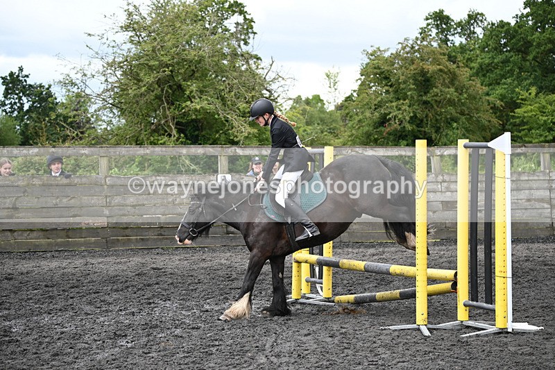 WJ6_0058 - Class 13 Novice 60cm