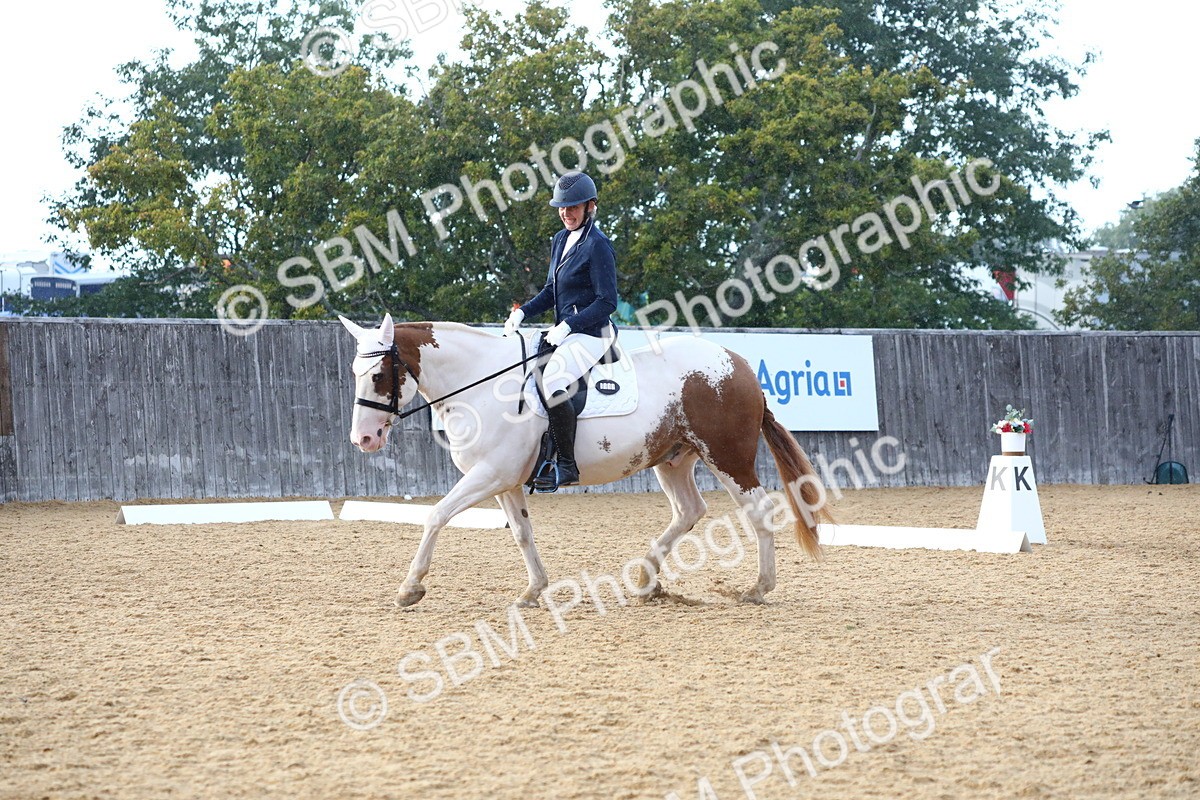 SBM_31609 - D11 - Small Tour Championship Prelim 1