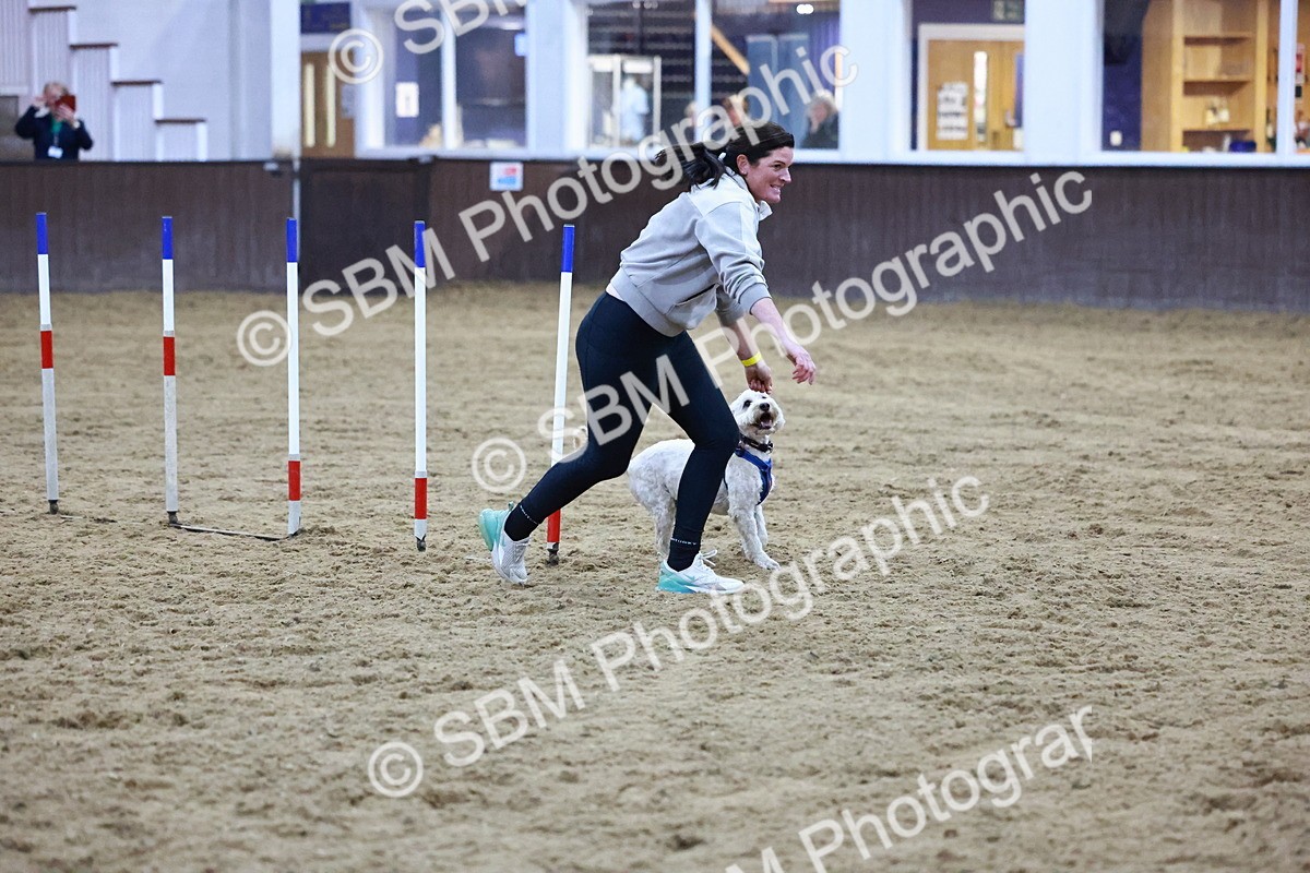 SBM_005926 - Evening Performance