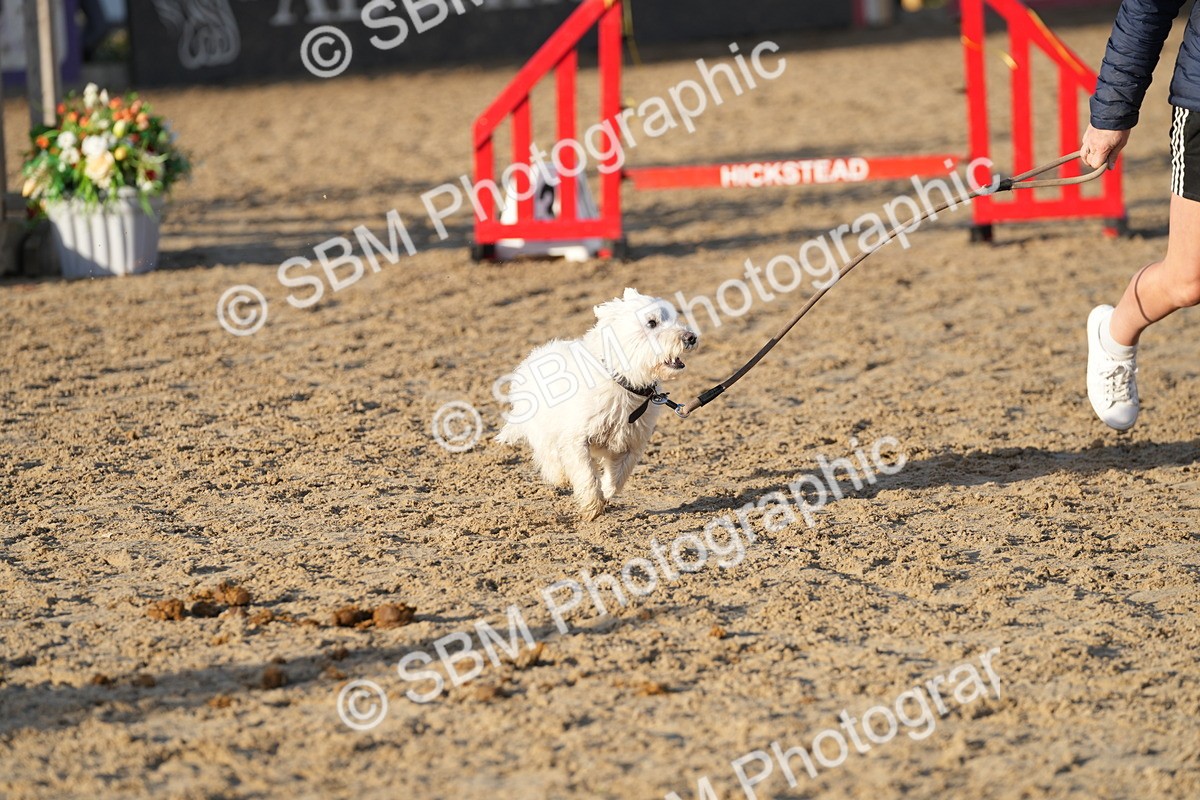 SBM_29426 - J44 - Horse & Hound Open 70cm