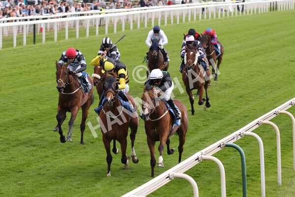 yr10062022r7-21 - Race 7 5.10pm Andy Thornton Hospitality Furniture Stakes