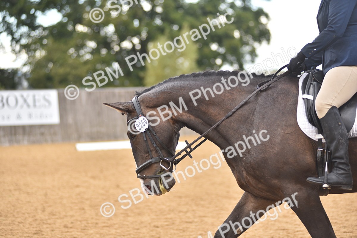 SBM_11331 - D15 - Small Tour Championship Novice 1