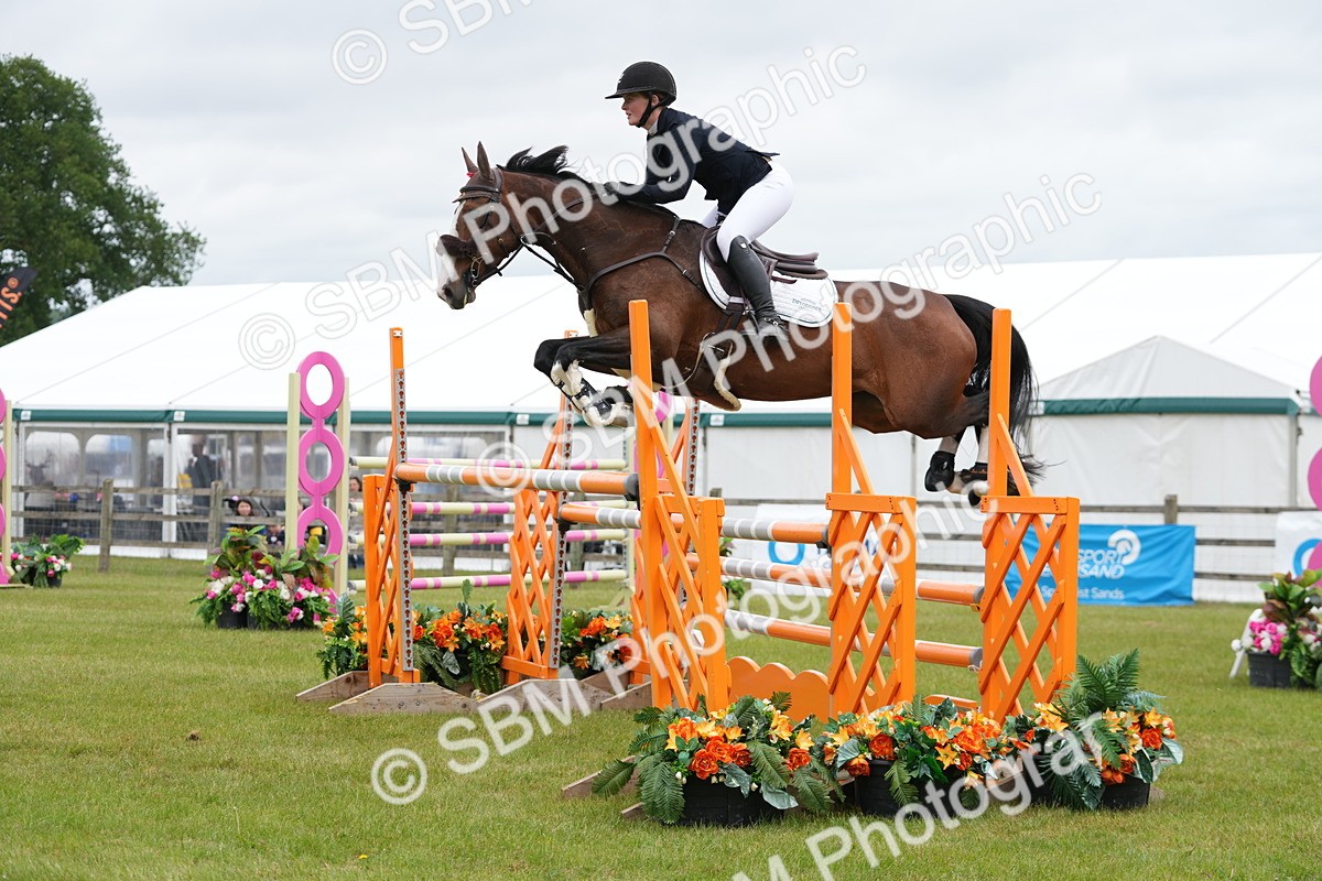 SBM_03157 - Class 201 - British Horse Feeds Speedi Beet Horse of the Year Show Grade  C