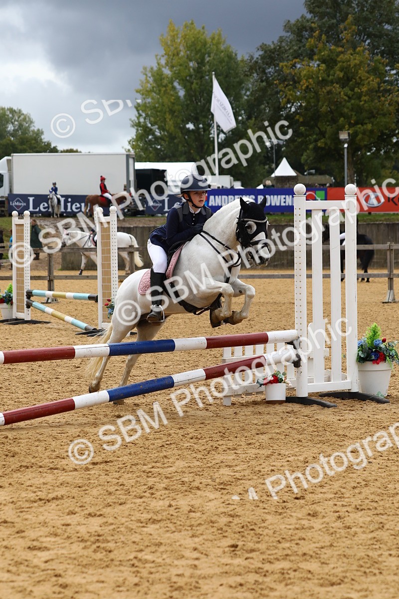 SBM_62372 - J64 - Junior Pony 60cm Championship