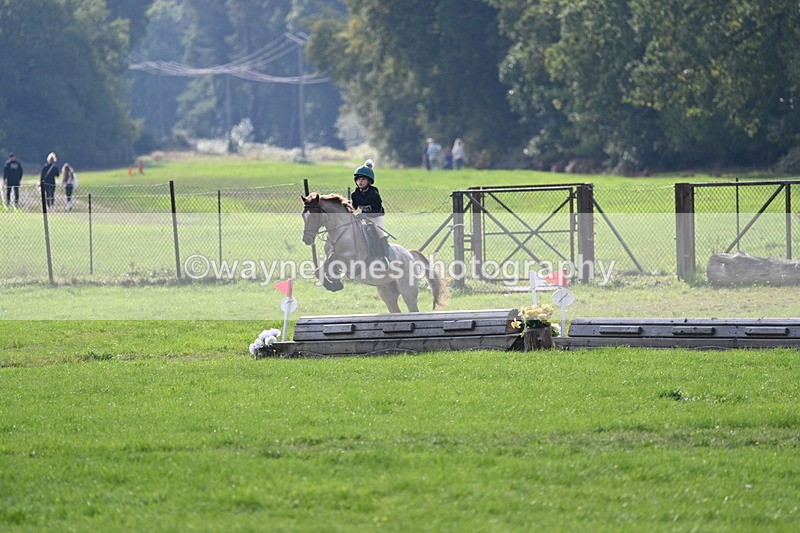 WJ7_4972 - 60cm Time 11:11 to 11:19