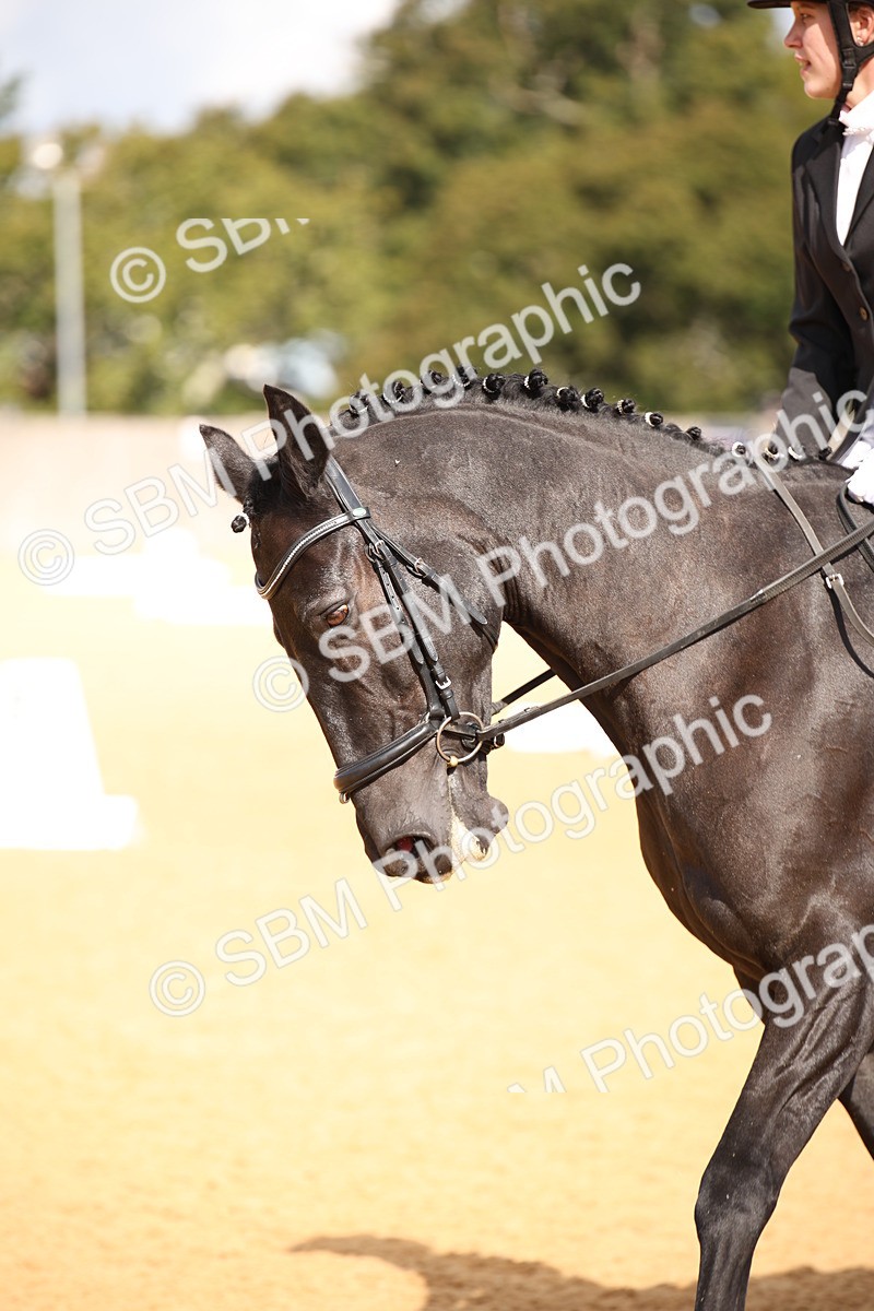 SBM_04311 - D2 Small Tour Championship Intro C