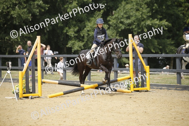 20250622-4665 - 50cm